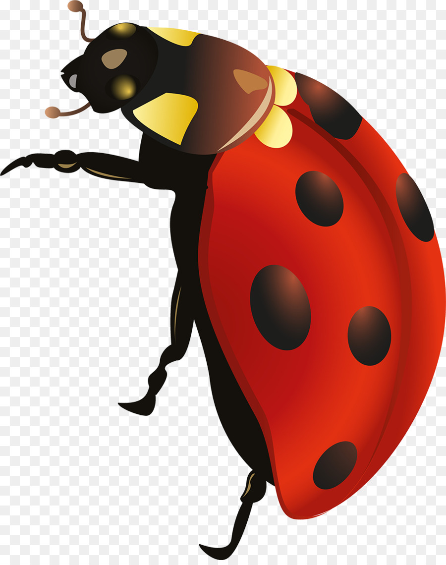 Los Insectos，Lady Bird PNG