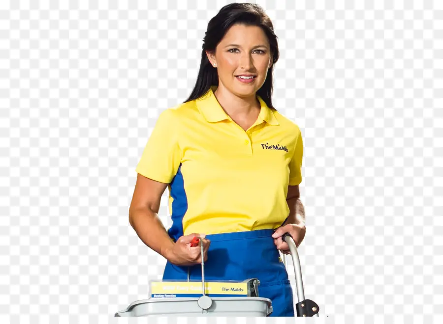 Servicio De Limpieza，Señora De La Limpieza PNG