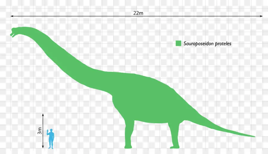 Dinosaurio De Tamaño，Dinosaurio PNG