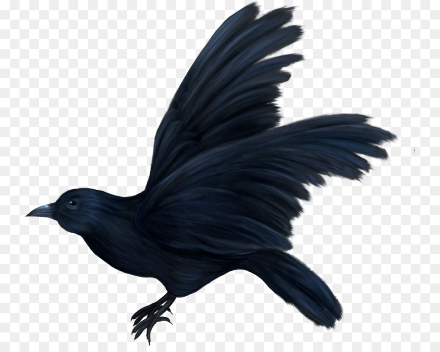 Pájaro Azul，Vuelo PNG