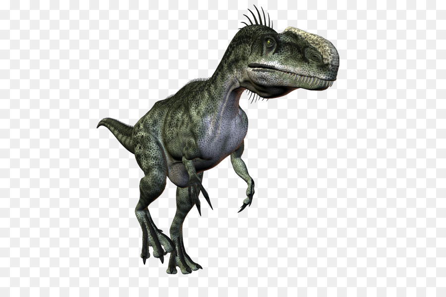 Tyrannosaurus，Velociraptor PNG