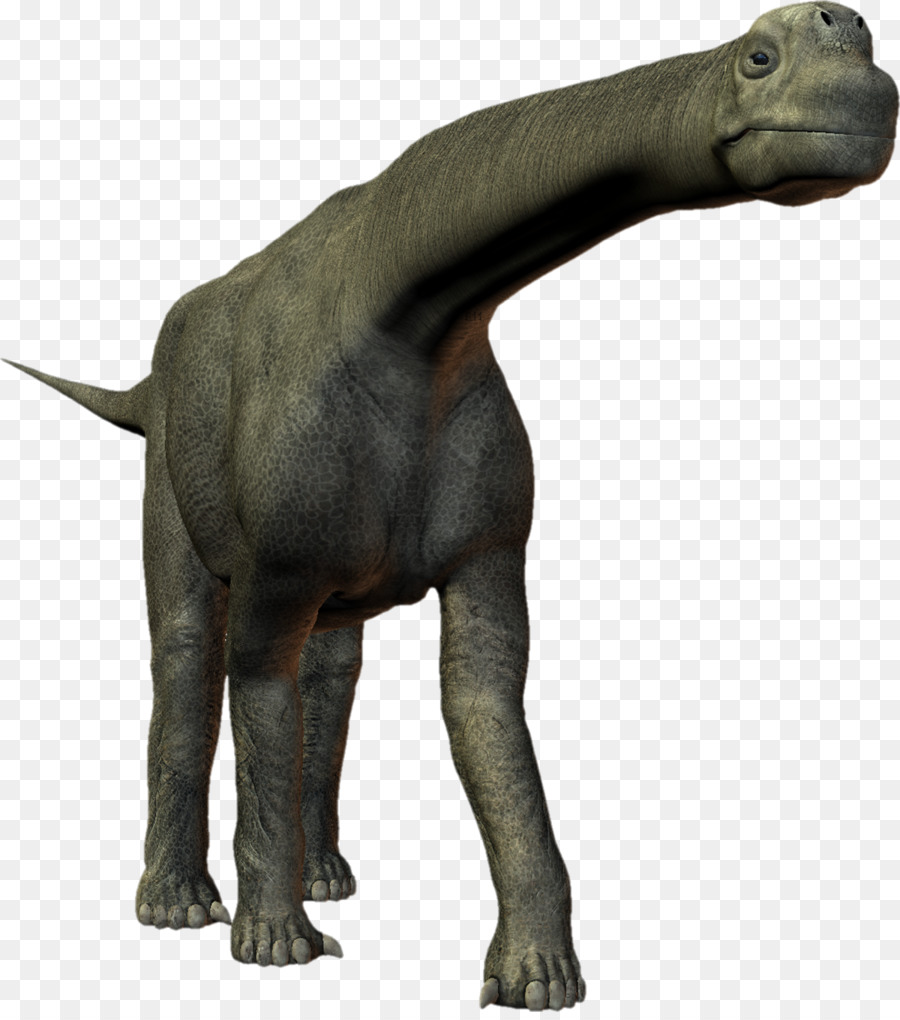 Tyrannosaurus，Camarasaurus PNG