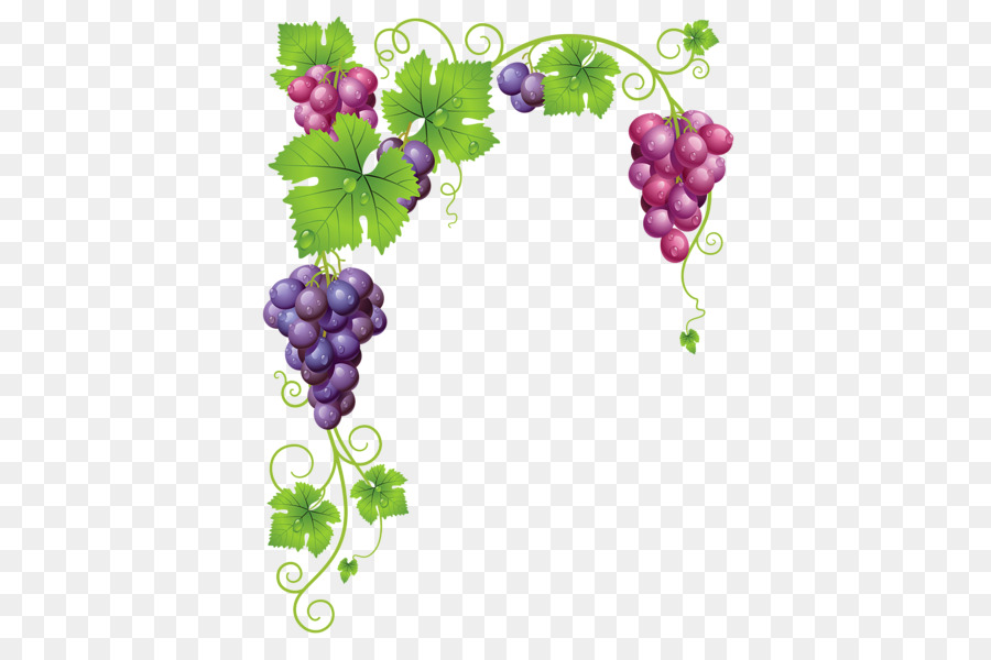 Uva，Vino PNG