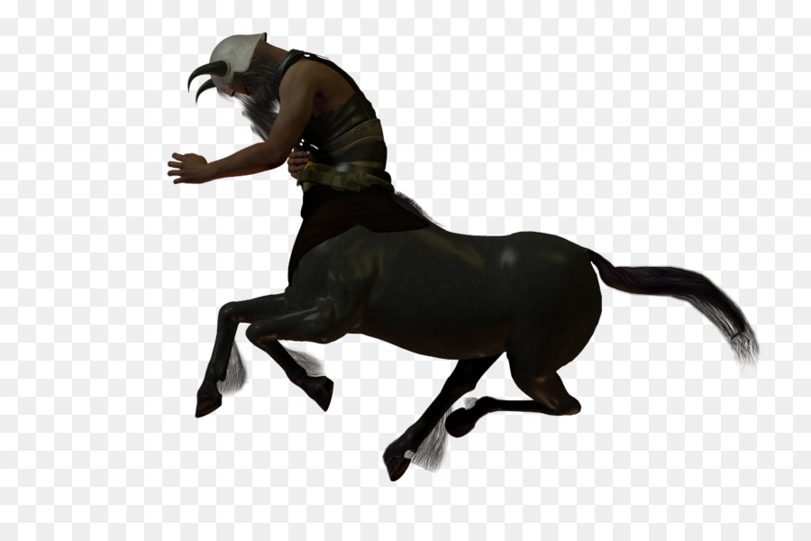 Mustang，Pony PNG