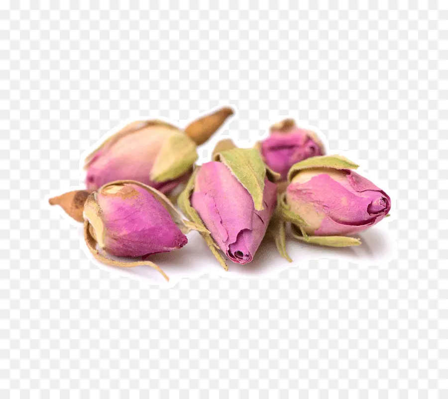 Capullos De Rosa，Rosa PNG