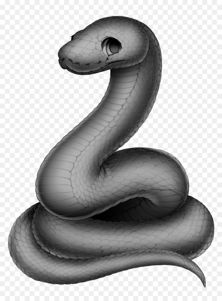 La Serpiente，Serpiente PNG