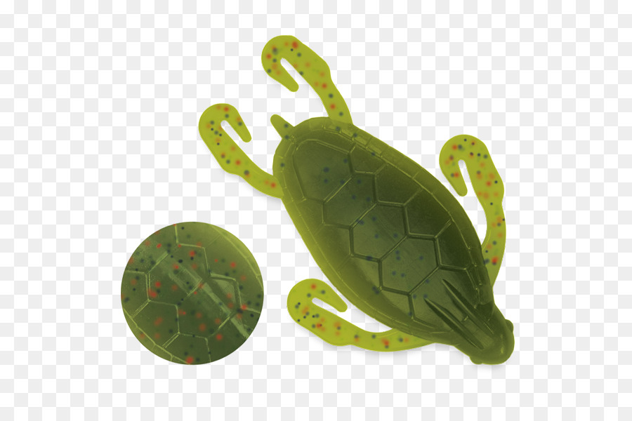 Tortuga De Mar，Tortuga PNG