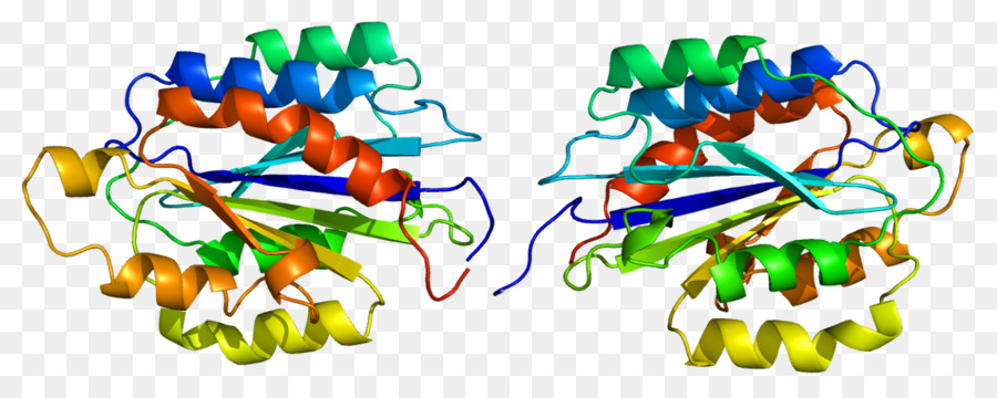 Cd49b，La Integrina PNG