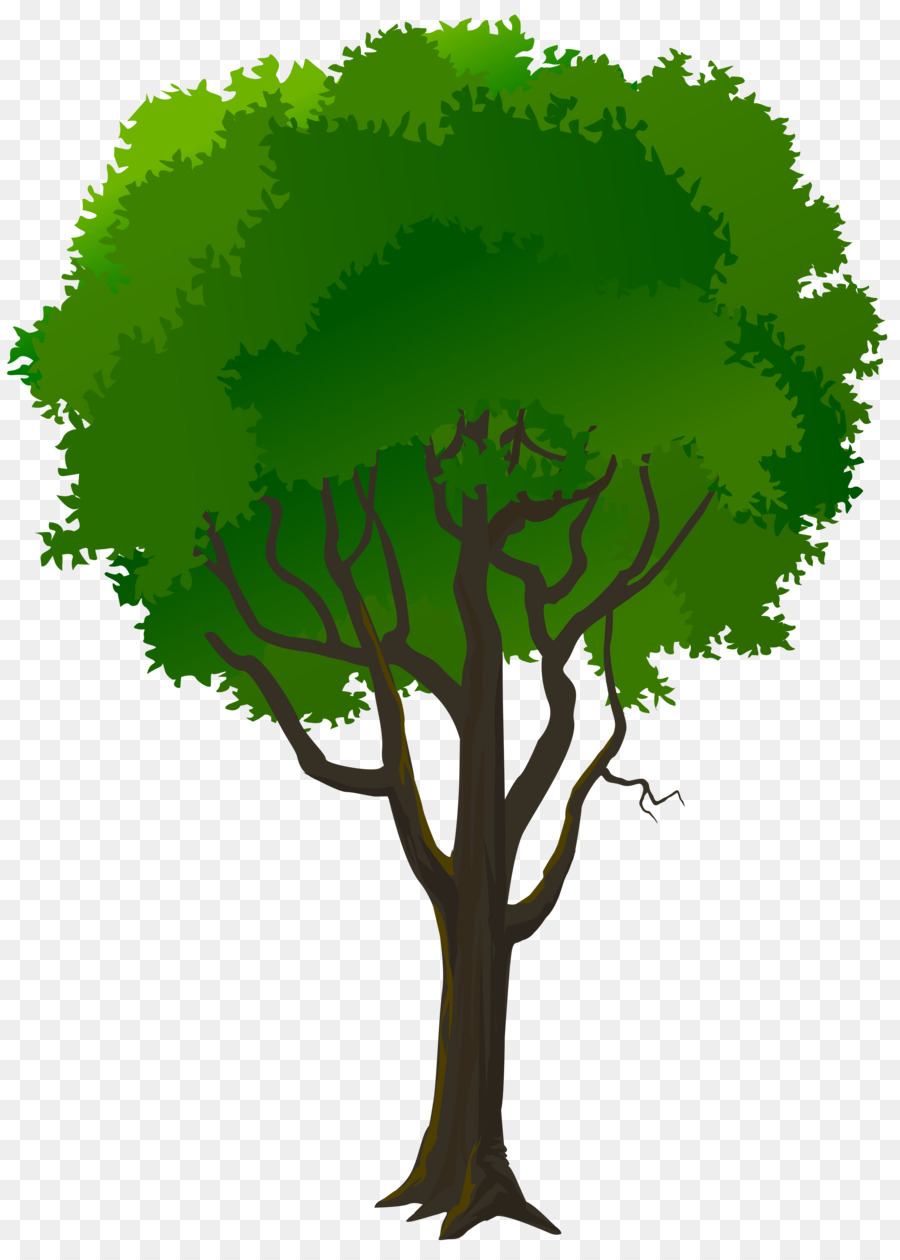 Árbol，Hojas PNG