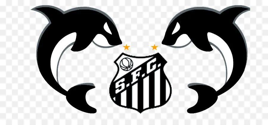 Santos Fc，Ct Rei Pelé PNG