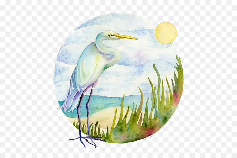 Heron，Pintura PNG