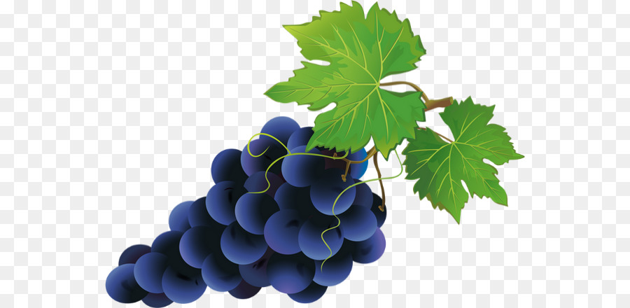 Vino Y Uvas，Vino Tinto PNG