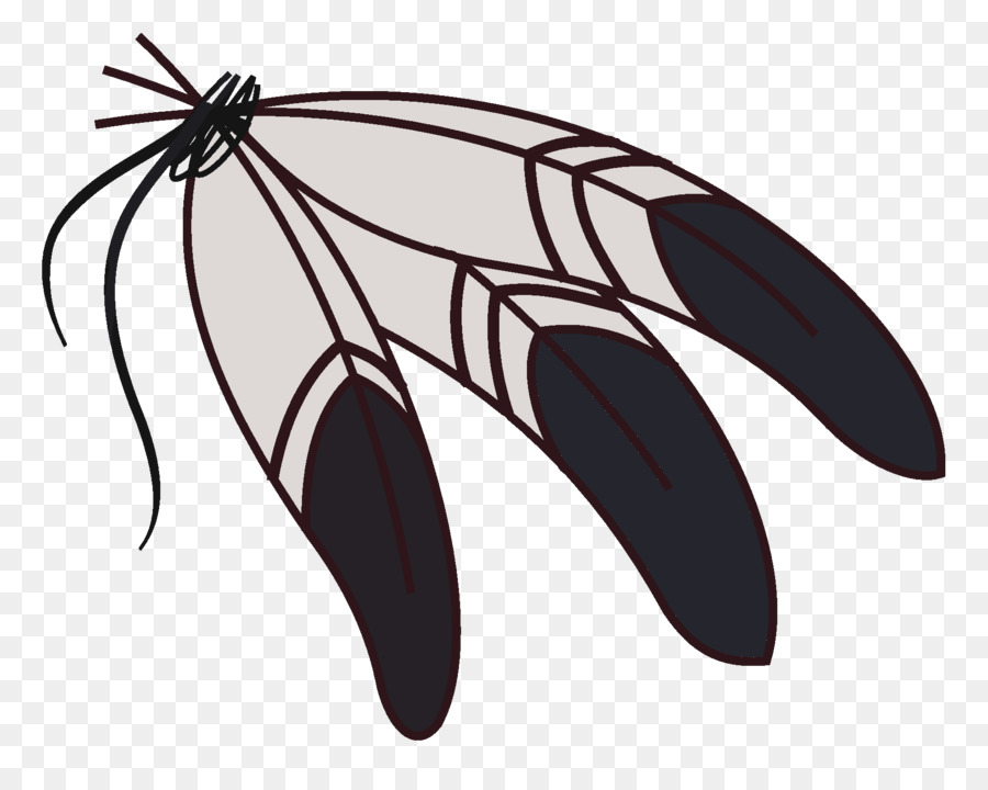 Plumas De águila Ley，Pluma PNG