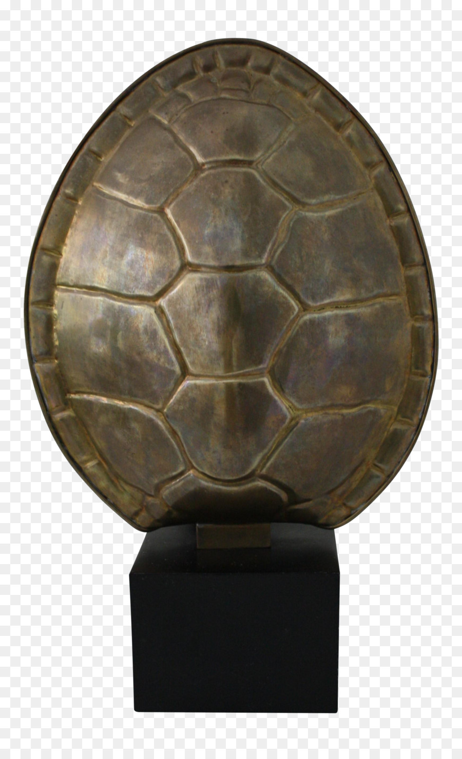 Tortuga，Brown PNG