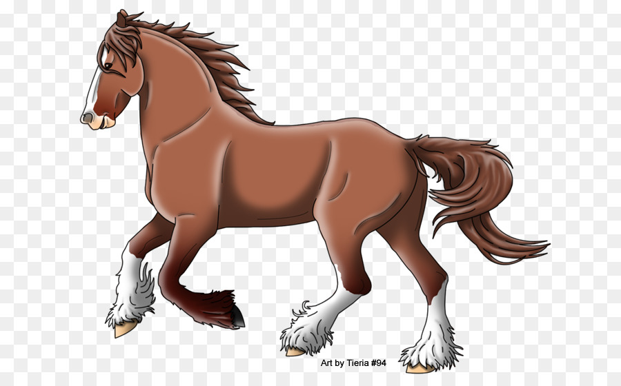 Foal，Mane PNG