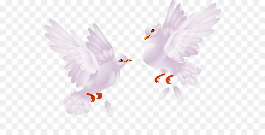 Palomas Blancas，Vuelo PNG