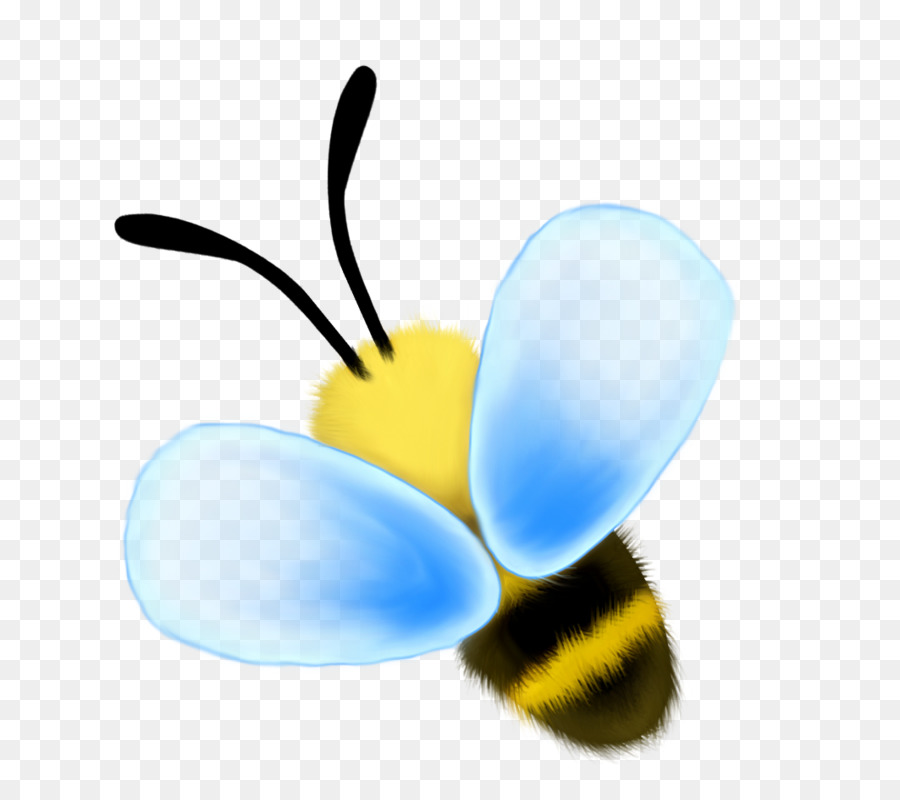 Abeja，Alas PNG