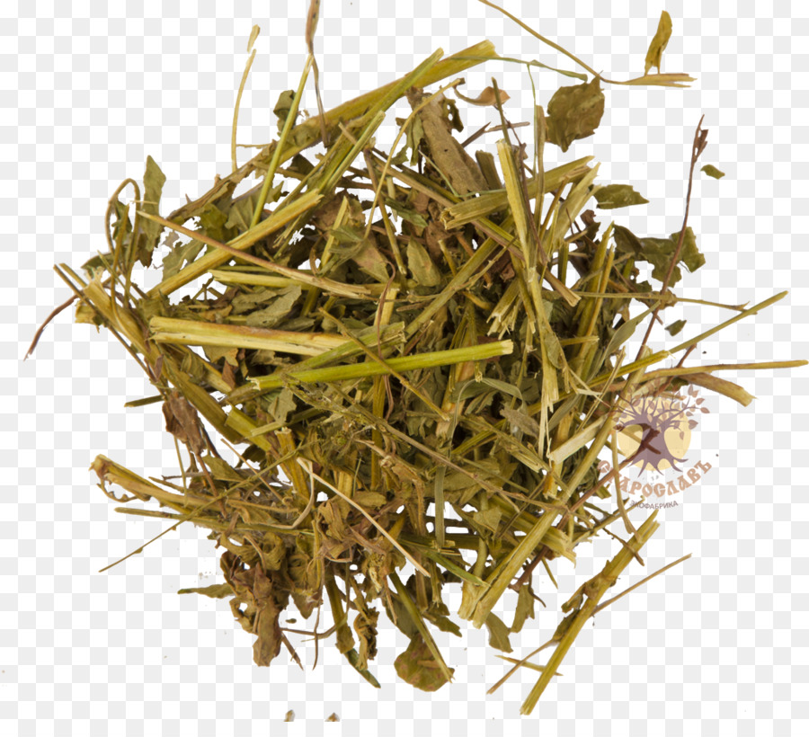 Hōjicha，Hierba PNG