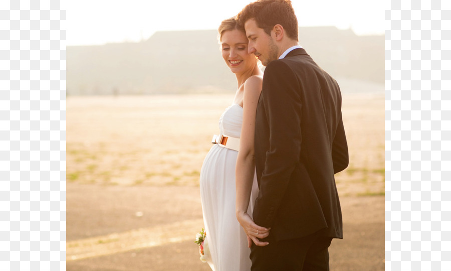 Vestido De Novia，La Boda PNG