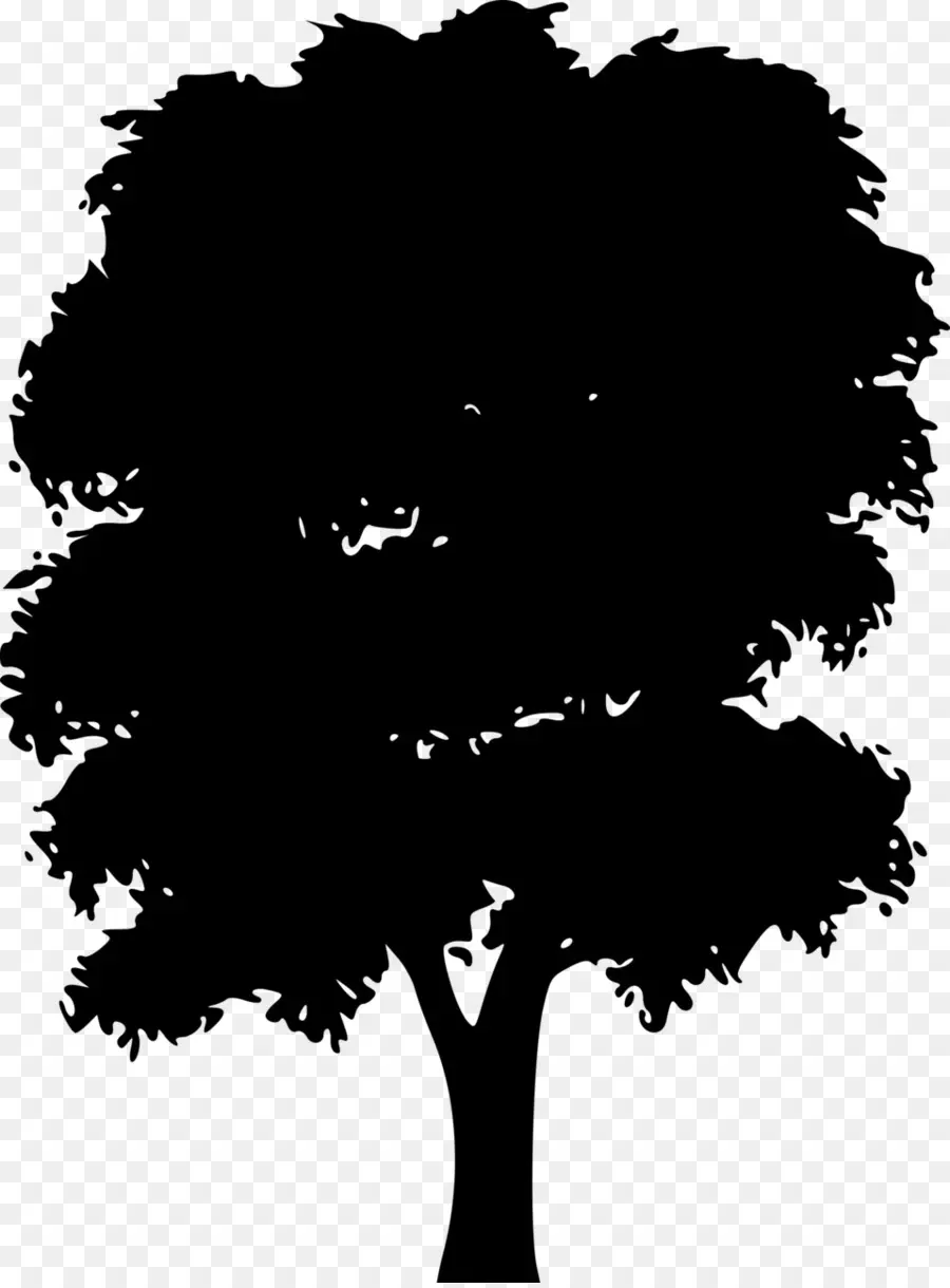 Silueta De Arbol，Sombra PNG