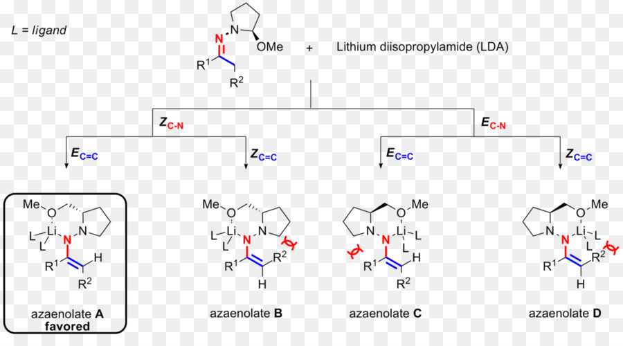 Enders Sampramp Hydrazonealkylation Reacción，Auxiliar Quiral PNG