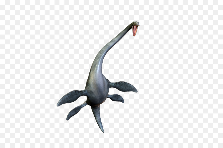 Plesiosauro，Dinosaurio PNG