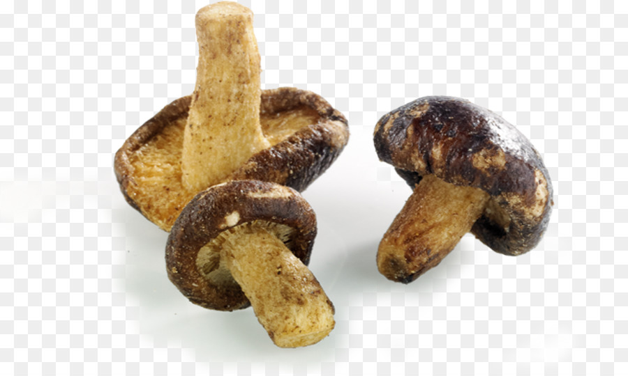 Shiitake，Aperitivo PNG