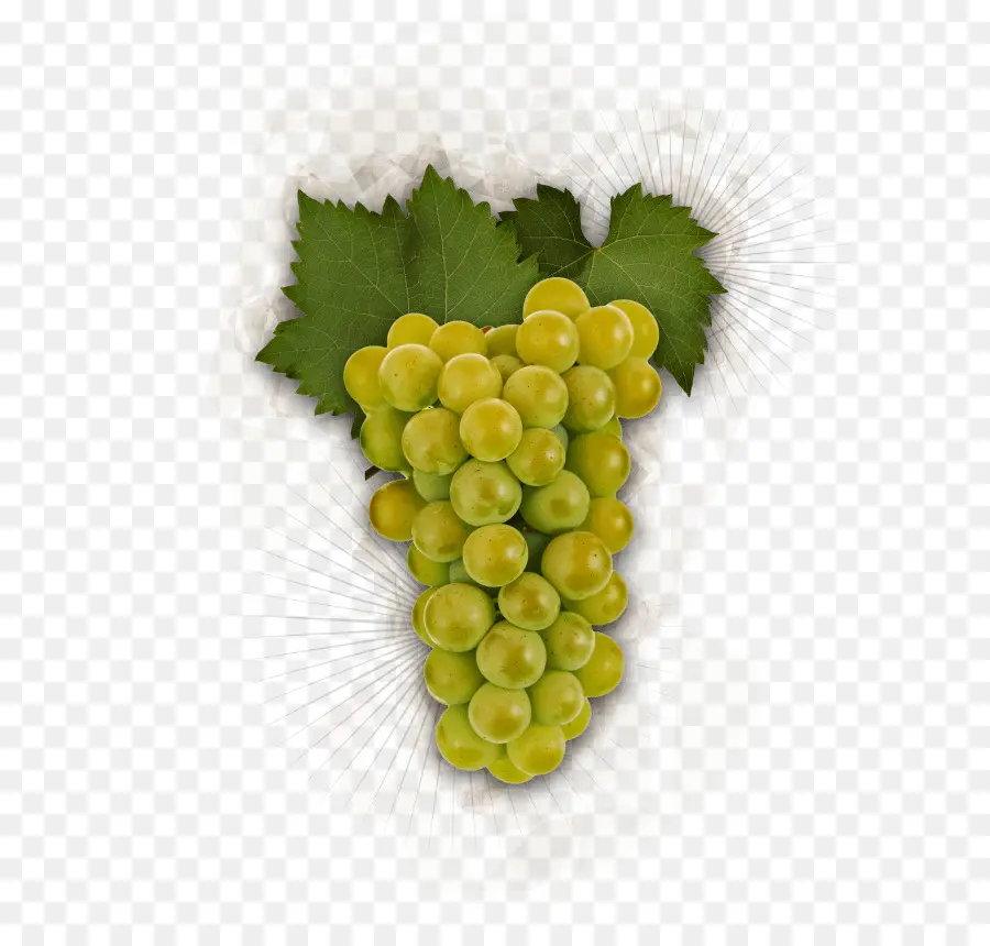 Uvas Verdes，Enredadera PNG