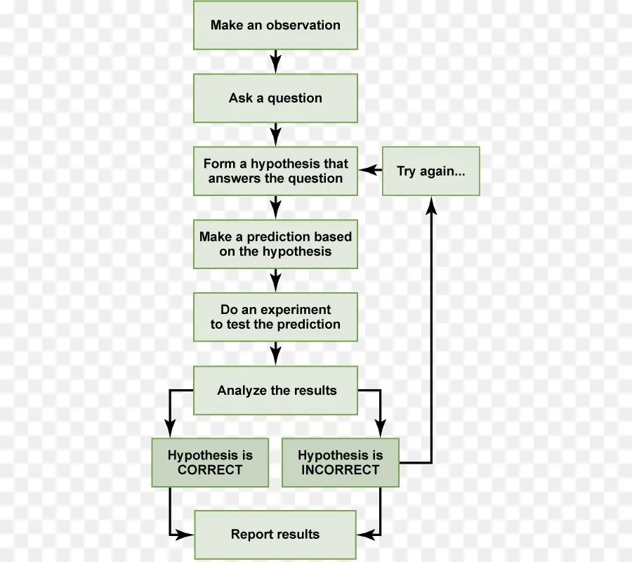 Diagrama De Flujo，Proceso PNG