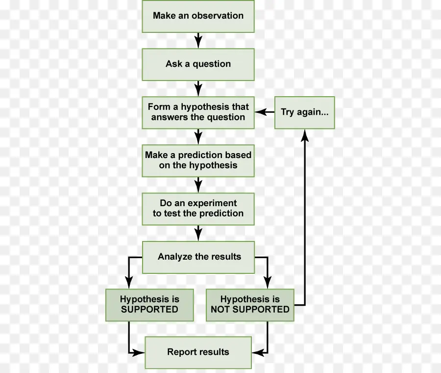 Diagrama De Flujo，Proceso PNG