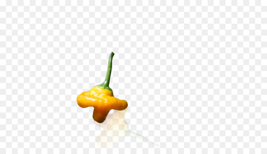 Habanero，Pimienta De Chile PNG