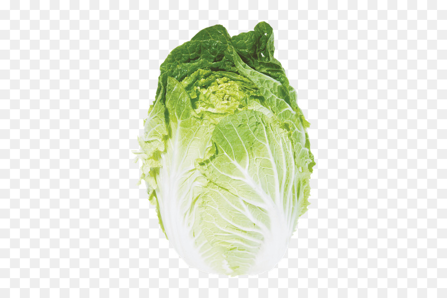 Lechuga Romana，Berza PNG