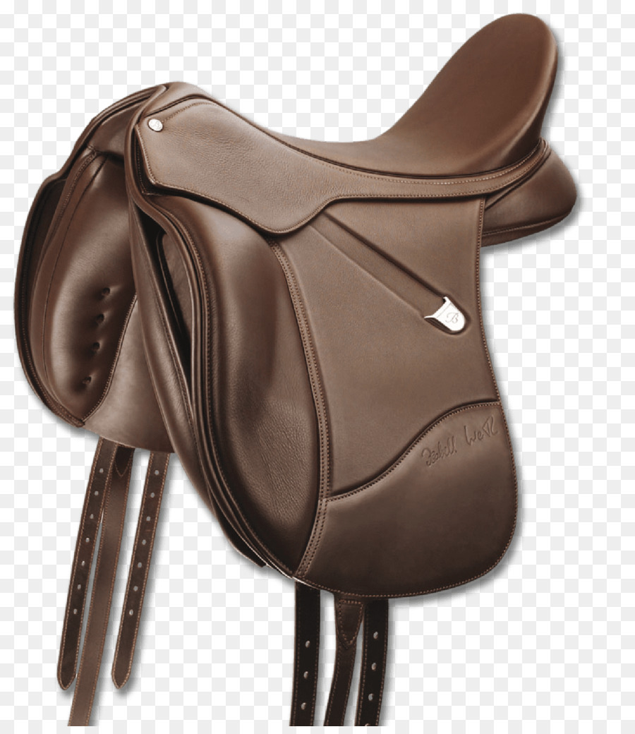 Caballo，Silla De Montar PNG