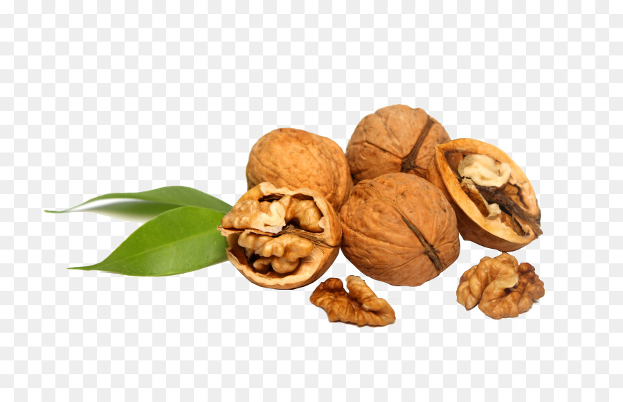 Nueces，Caparazón PNG