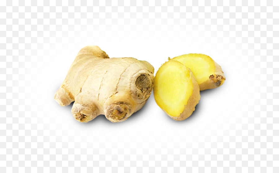 Cachorro，Vegetales De Raíz PNG