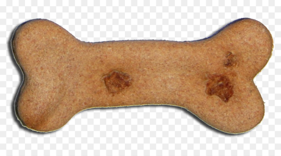 Galleta De Perro，Golden Retriever PNG