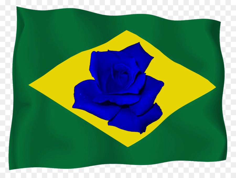 Bandera，Bandera De Brasil PNG