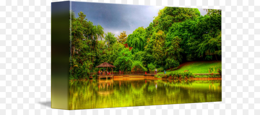 Parque Escénico，Lago PNG