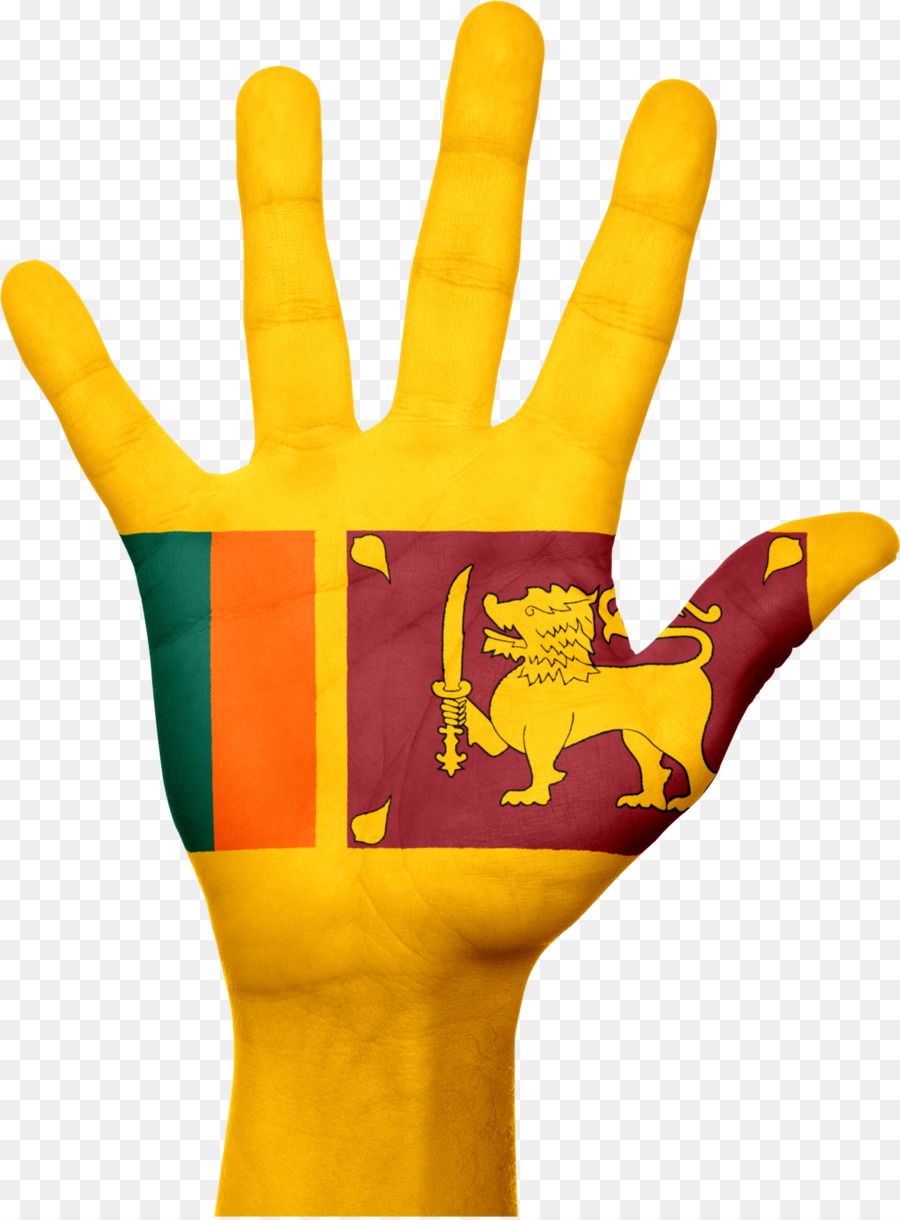 Bandera De Sri Lanka，Mano PNG