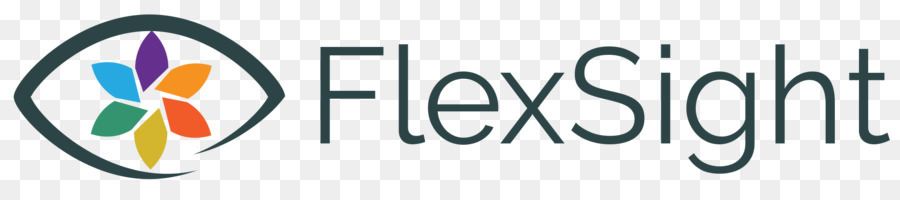 Software De Ordenador，Flexera PNG
