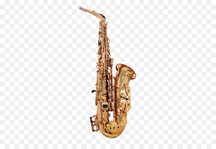 Saxófono，Música PNG