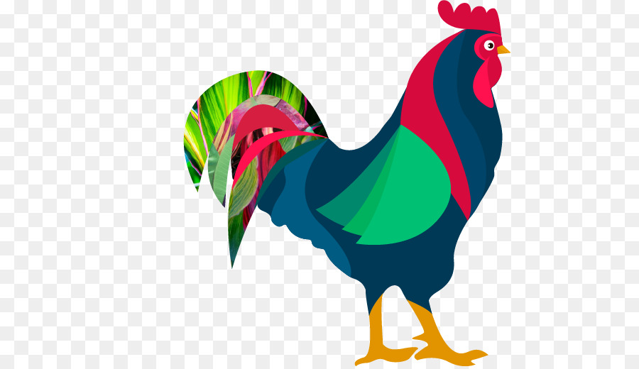 Gallo，Pájaro PNG