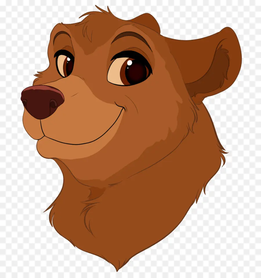 Oso De Dibujos Animados，Sonriente PNG