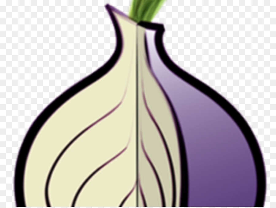 Tor，Cebolla PNG