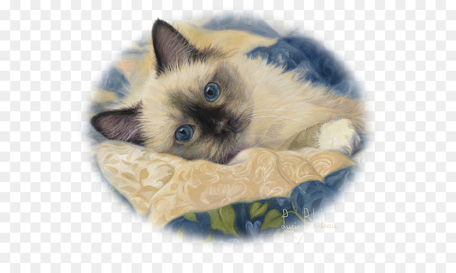 Gato，Mascota PNG