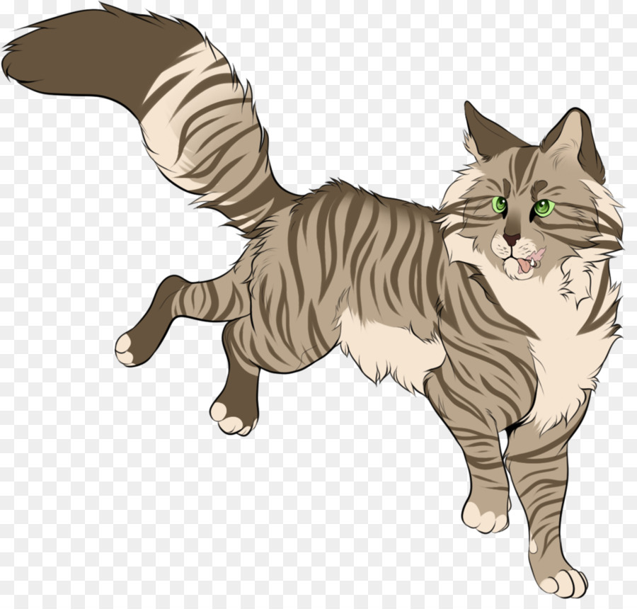 Gato De Dibujos Animados，Mascota PNG