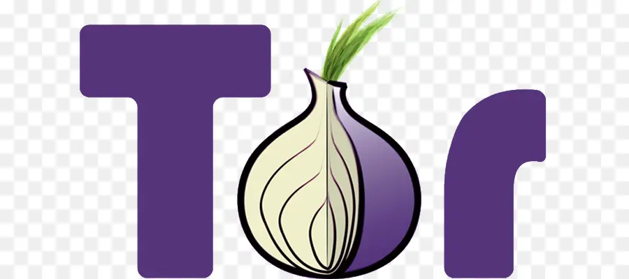 Tor，Cebolla PNG