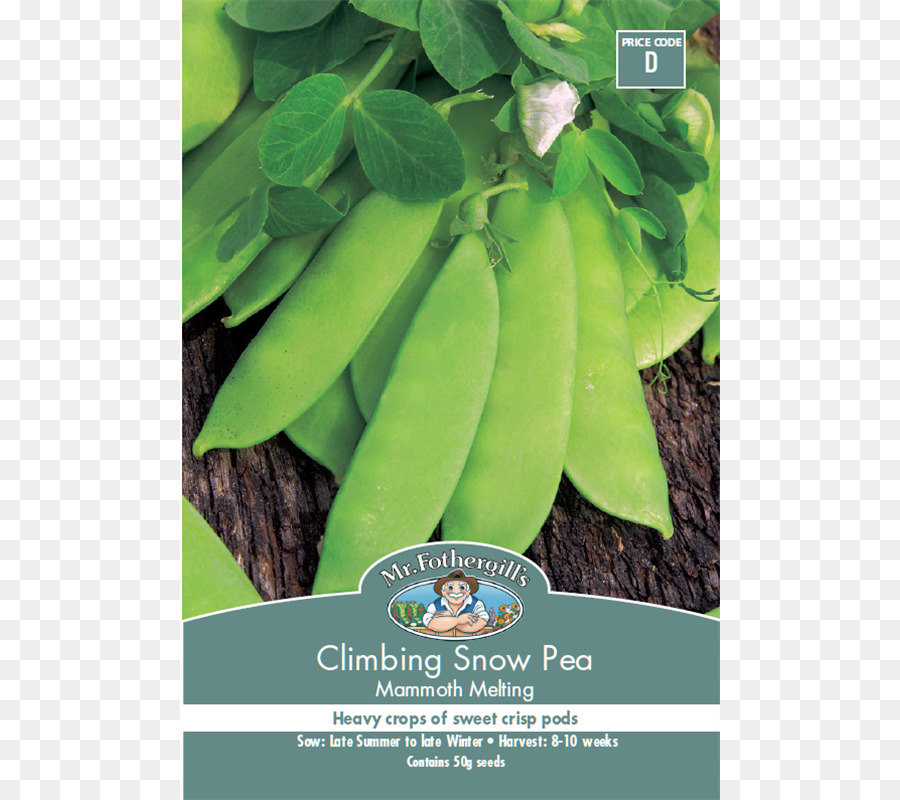 Snow Pea，Mammoth Lakes PNG