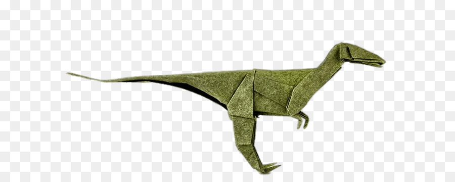 Papel，Velociraptor PNG