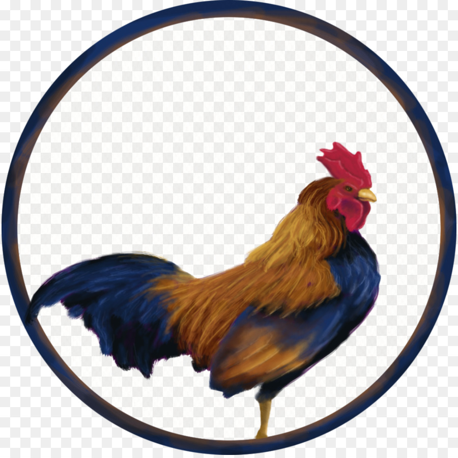 Gallo，Pico PNG